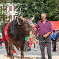 ESAF 2025 Eis Jaar dervoor ©Taria Hoesli DSC 005