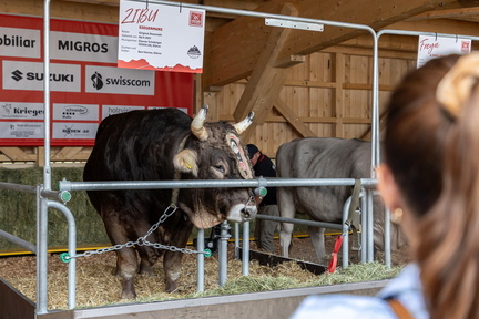 ESAF 2025 Eröffnung Gabentempel by Fritz Leuzinger 250815IMG 7165