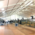 ESAF 2025 Aufbau Festzelt Ricken I6A0384