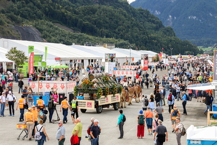 ESAF 2025 Linthmeile by Fritz Leuzinger IMG 8233