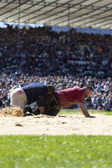 ESAF 2025 Impressionen Gang 6 by Nicole Stucki-16