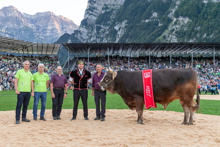 ESAF 2025 Schwingerkönig Orlik Armon by Taria Hösli THO8257