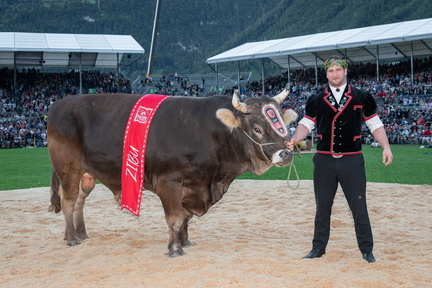 ESAF 2025 Schwingerkönig Orlik Armon by Lorenz Reifler DSC 3303