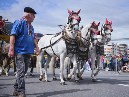 ESAF 2025 Festumzug by Giorgio Hösli 6764